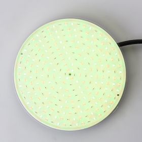 Swimming pool light (Option: Warm White-25W)